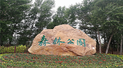 盘锦森林公园第 92 张图片