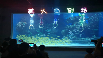 邯郸海洋世界第 19 张图片