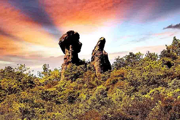 瑞云山森林公园第 17 张图片