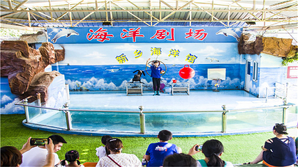 新乡人民公园海洋馆第 9 张图片