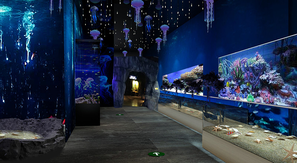 摸摸乐萌宠园(月星国际家居生活MALL店)