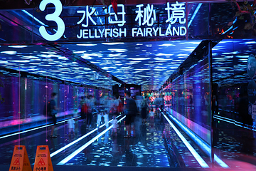 正佳极地海洋世界第 40 张图片