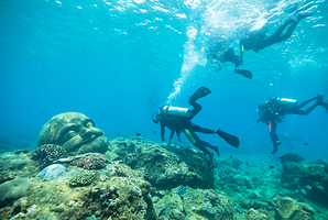 分界洲岛潜水