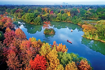 西溪国家湿地公园第 150 张图片