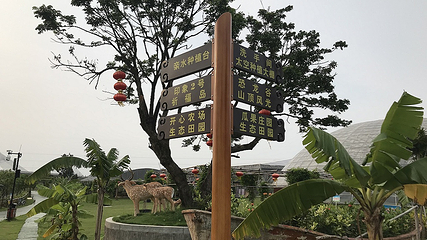 东江印象特色农业园第 35 张图片