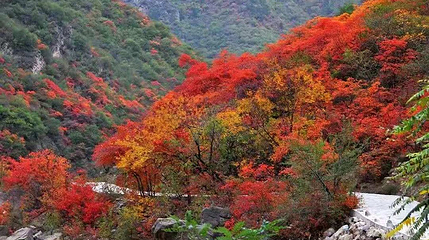 郑国渠旅游风景区第 40 张图片
