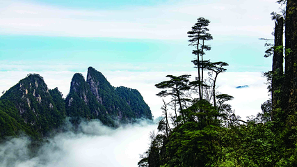 莽山五指峰景区第 71 张图片