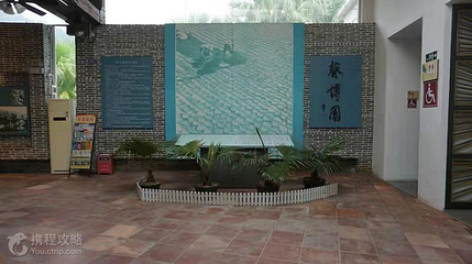 葵博园第 2 张图片