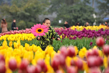 花舞人间第 29 张图片
