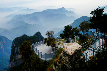 王莽岭风景区第 20 张图片