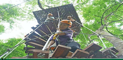西双版纳原始森林公园丛林飞跃第 17 张图片
