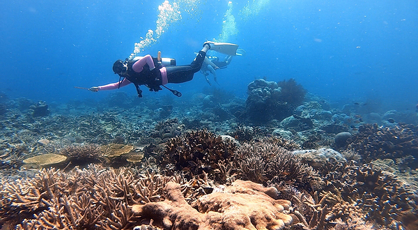 星潜社潜水俱乐部
