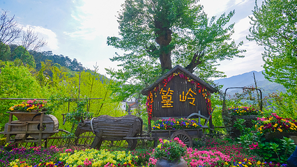 婺源篁岭景区第 61 张图片