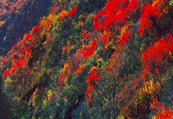 双龙峡第 3 张图片