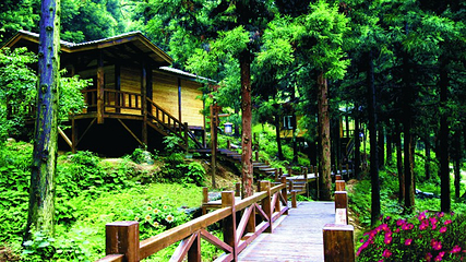薤山国家森林公园第 2 张图片
