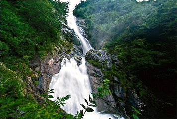 天目山自然保护区第 66 张图片