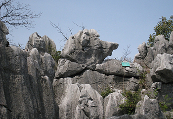 千岛湖石林景区第 53 张图片