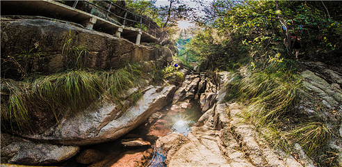 龙须山景区第 8 张图片