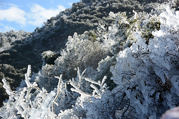 清远金子山原生态旅游风景区第 51 张图片