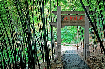 穹窿山景区第 96 张图片