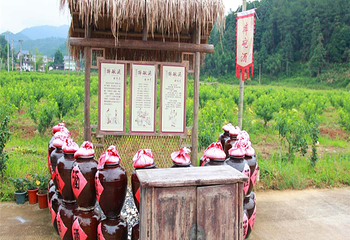 桃源里旅游度假区-花海乐园第 18 张图片