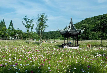 老山不老村景区第 7 张图片