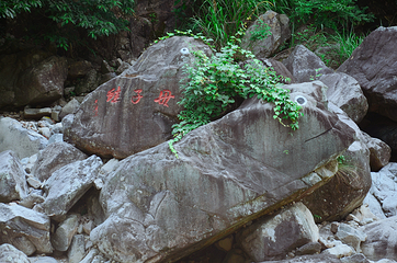 天目大峡谷第 26 张图片