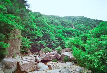 天目大峡谷第 11 张图片