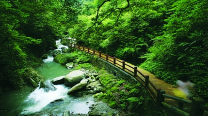 金佛山北坡景区第 15 张图片