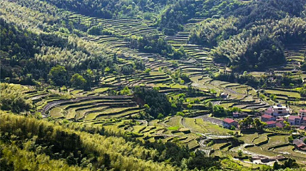相思山度假区第 1 张图片
