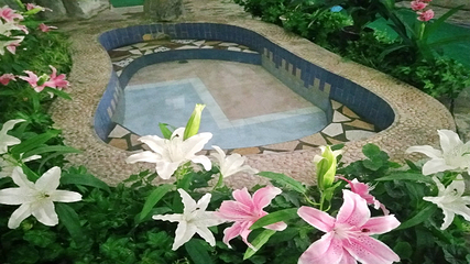 兴芮温泉汇馆第 32 张图片