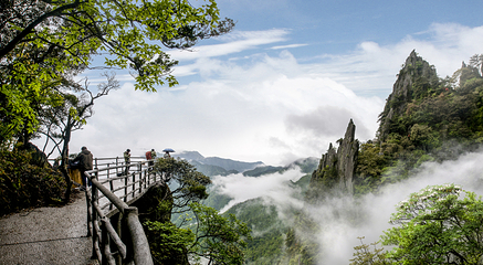 羊狮慕风景区第 14 张图片