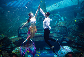 三亚亚特兰蒂斯失落的空间水族馆第 65 张图片