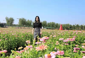 城头山旅游景区第 8 张图片