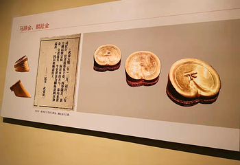 江西省博物馆第 61 张图片