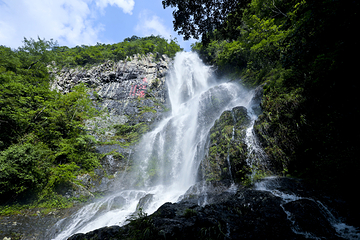 三百山景区第 16 张图片