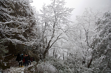 清远金子山原生态旅游风景区第 221 张图片