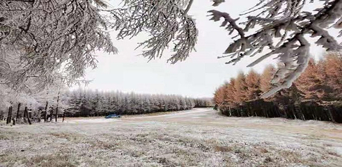 万龙滑雪场第 215 张图片