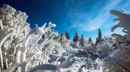 长白山仙峰雪岭景区第 12 张图片