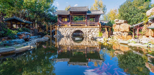 大理苍山植物园第 12 张图片