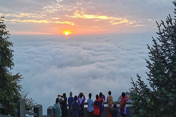 王莽岭风景区第 47 张图片