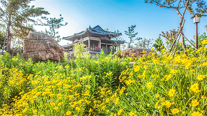 万安山山顶公园第 19 张图片