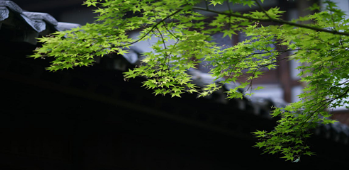 茅山东方盐湖城第 333 张图片
