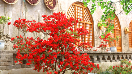 八卦洲陌上花渡第 10 张图片