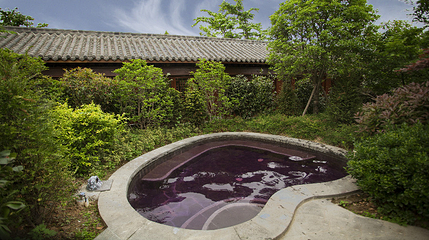 九昱汉水温泉旅游度假区第 21 张图片