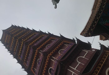 太湖龙之梦乐园第 34 张图片