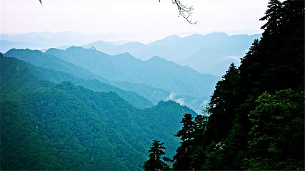 内乡宝天曼生态文化旅游区第 6 张图片