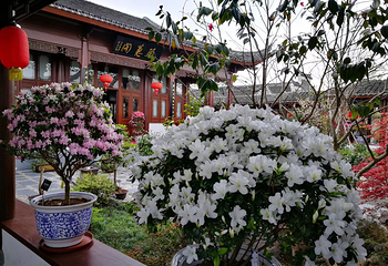 宁波植物园第 45 张图片