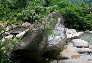 梅岭国家级风景名胜区第 49 张图片