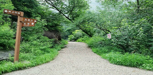 白银坨旅游风景区第 5 张图片